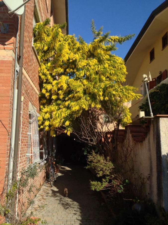 Casa Mimosa Viareggio Exterior foto